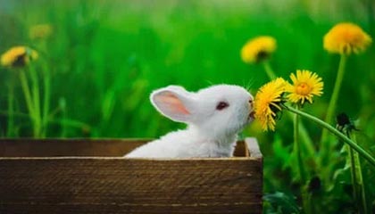 人人影视想转发前：先看截图有没有缺语境，再把推断改成假设句（读前先打标）