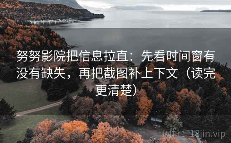 努努影院把信息拉直：先看时间窗有没有缺失，再把截图补上下文（读完更清楚）